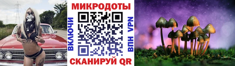 наркотики  Константиновск  Галлюциногенные грибы Psilocybe 